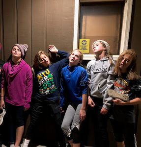 Meet your Posher, Rylin